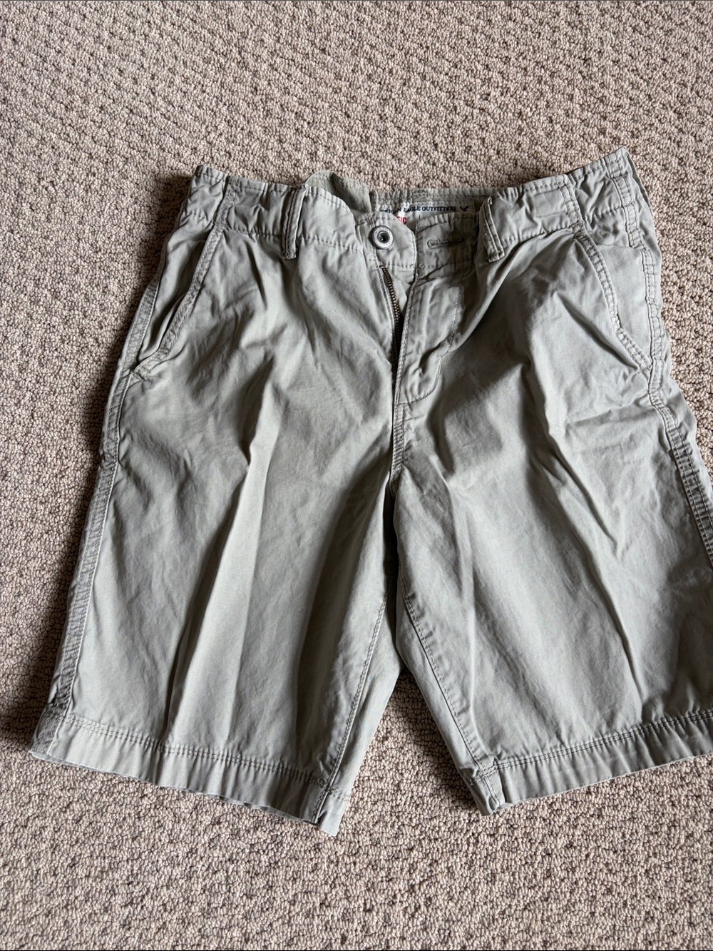 American Eagle Outfitters Men's Olive/Khaki Flat-Front Shorts